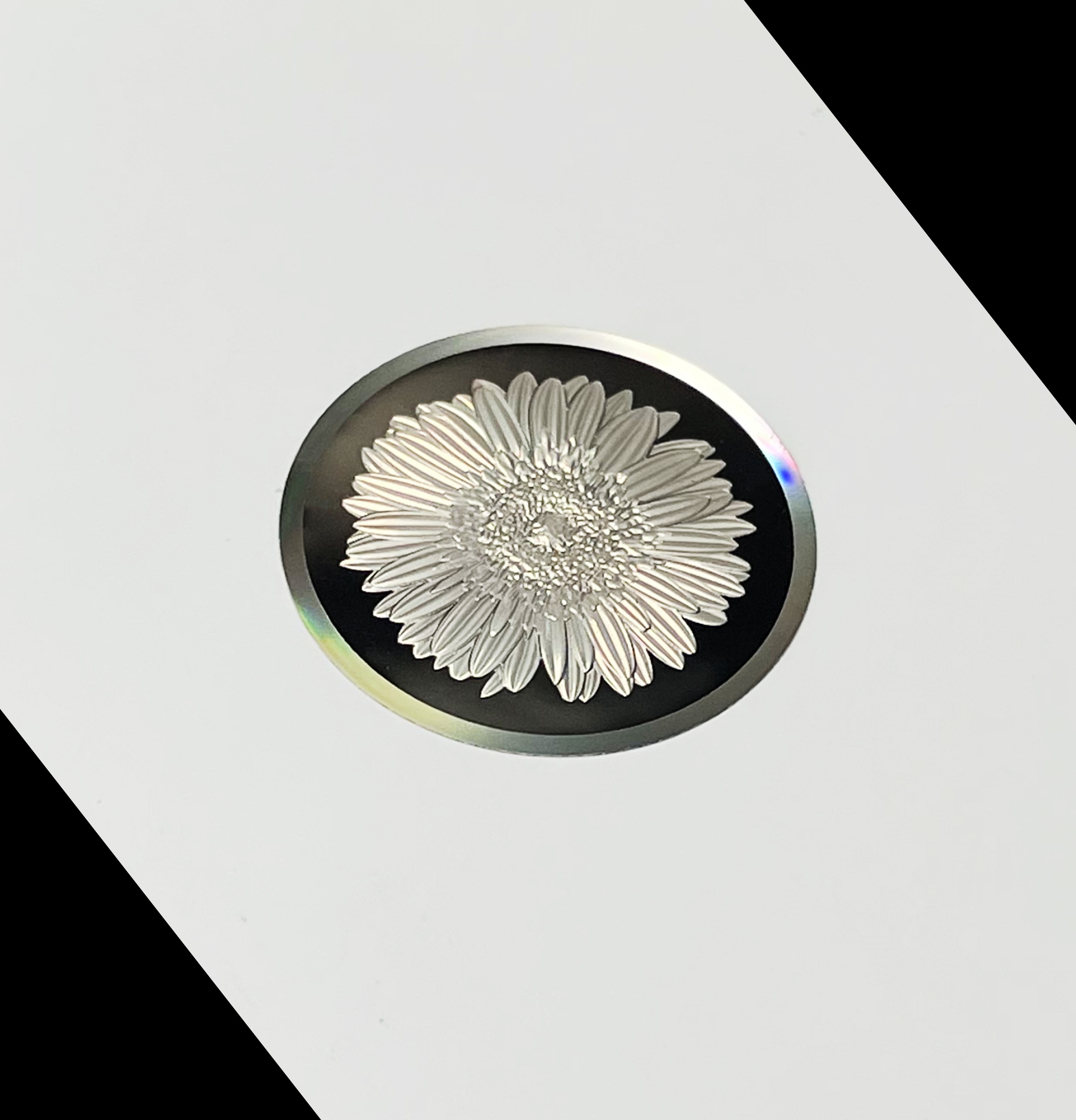 <div style="text-align:center;">
	<span style="line-height:1.5;">全息浮雕立金</span>
</div>